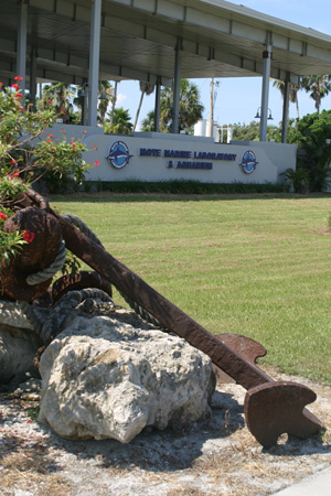 Mote Marine Laboratory